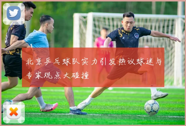 北京乒乓球队实力引发热议球迷与专家观点大碰撞