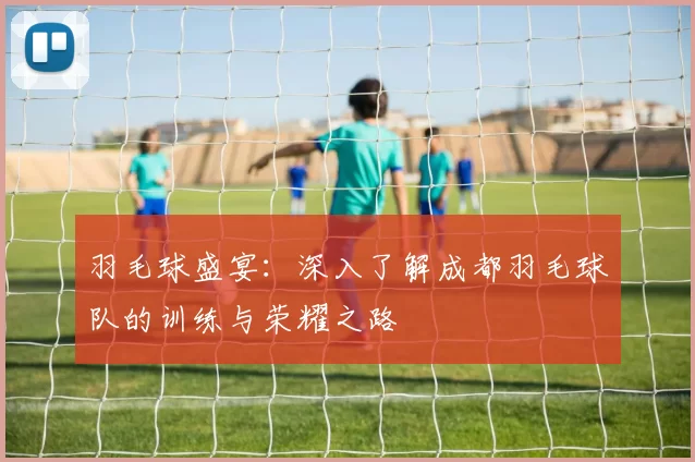 羽毛球盛宴：深入了解成都羽毛球队的训练与荣耀之路